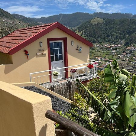 Tropical House Villa Ribeira Brava Eksteriør billede