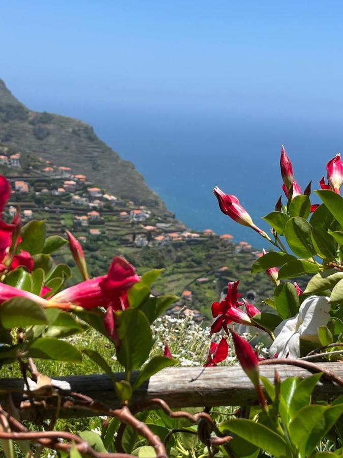 Tropical House Villa Ribeira Brava Eksteriør billede