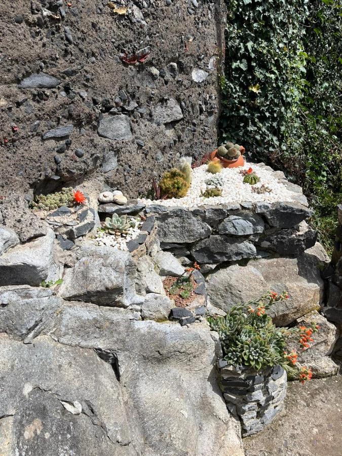 Tropical House Villa Ribeira Brava Eksteriør billede