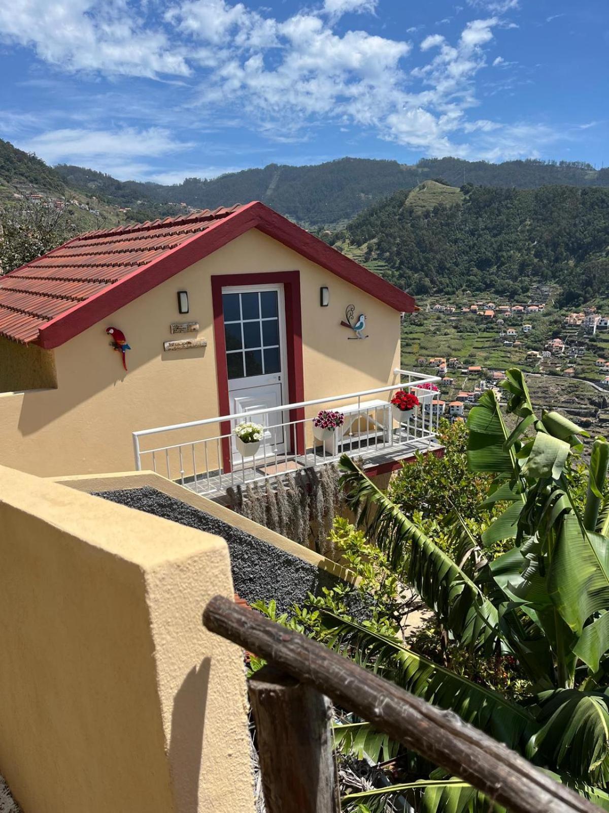 Tropical House Villa Ribeira Brava Eksteriør billede