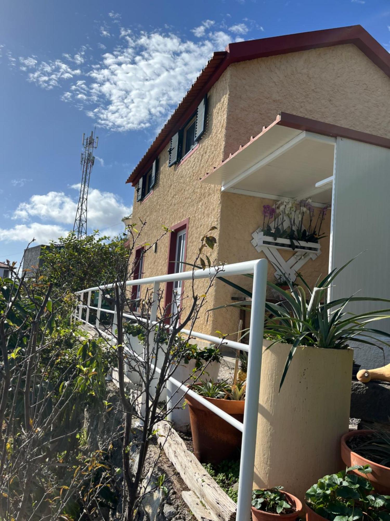 Tropical House Villa Ribeira Brava Eksteriør billede